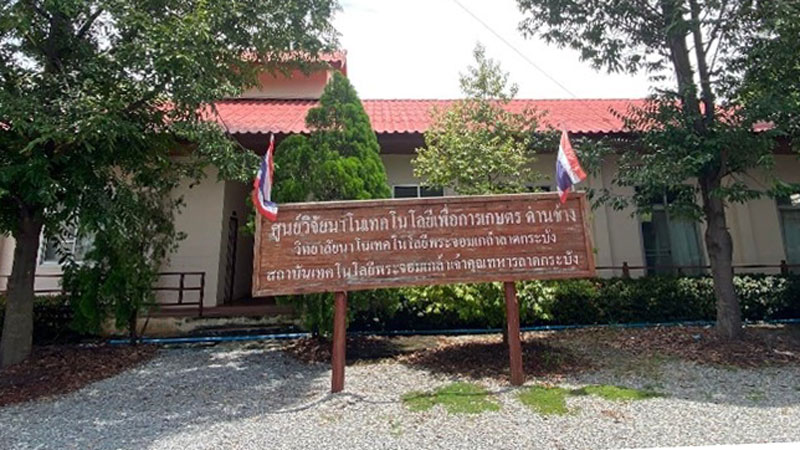 รูปภาพ1